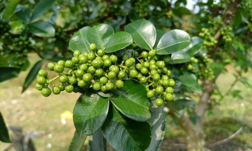 宝宝老是撞头怎么回事网 | 宝宝老是拉肚子怎么办,宝宝老是积食怎么办