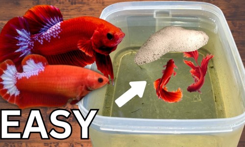宝宝老是撞头怎么回事网 | 宝宝老是拉肚子怎么办,宝宝老是积食怎么办